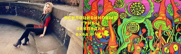 марки lsd Богданович