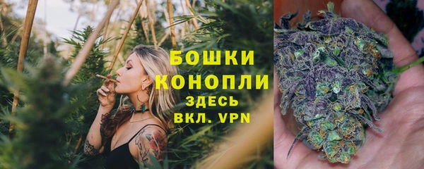 бошки Саяногорск